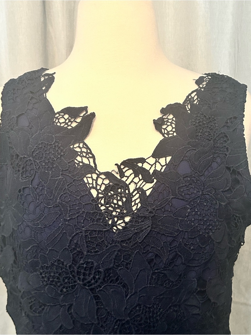 Sleeveless navy Blue  Lace A-Line Dress - Picture 5 of 9